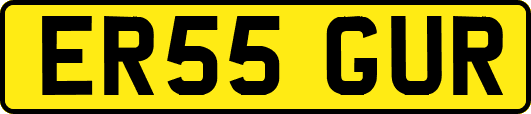 ER55GUR