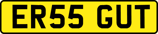 ER55GUT