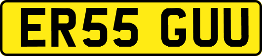 ER55GUU
