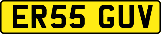 ER55GUV