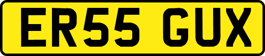 ER55GUX