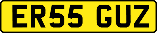 ER55GUZ
