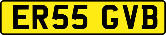 ER55GVB