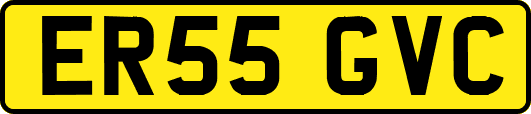 ER55GVC