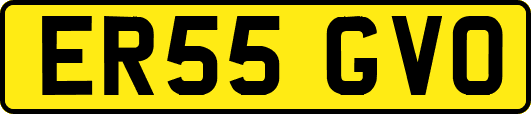 ER55GVO