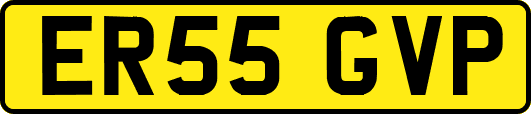 ER55GVP