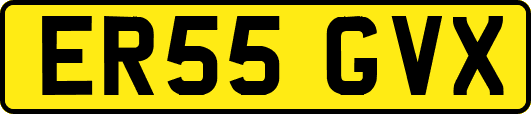 ER55GVX