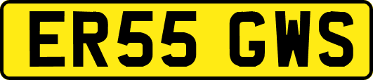 ER55GWS