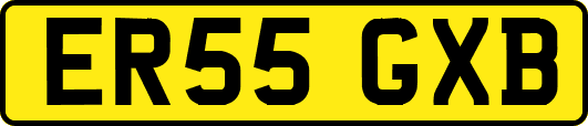 ER55GXB
