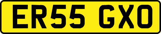 ER55GXO