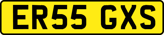ER55GXS