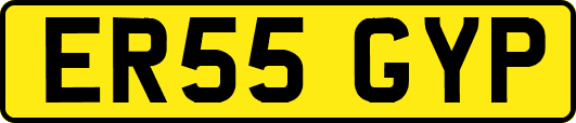 ER55GYP