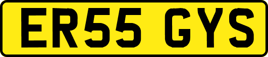 ER55GYS