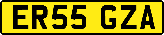 ER55GZA