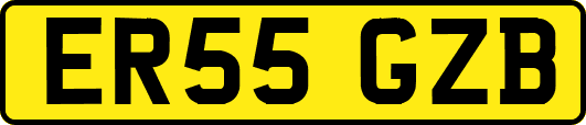 ER55GZB
