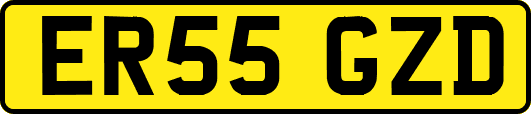 ER55GZD