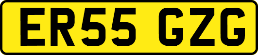 ER55GZG
