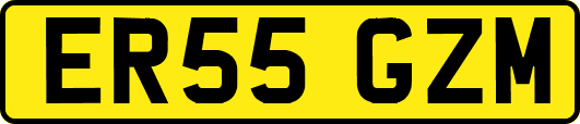 ER55GZM