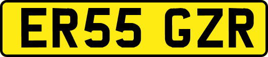 ER55GZR