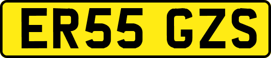 ER55GZS