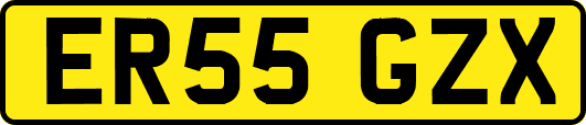 ER55GZX