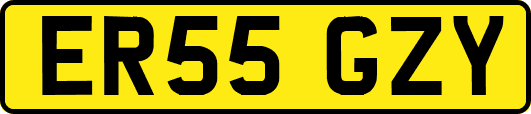 ER55GZY