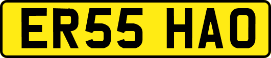 ER55HAO
