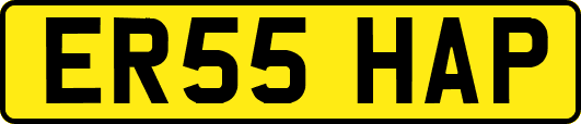 ER55HAP