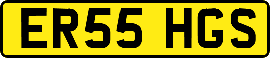 ER55HGS