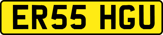 ER55HGU