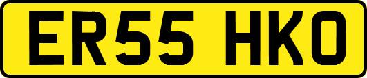 ER55HKO