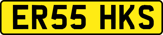 ER55HKS