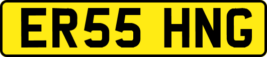ER55HNG