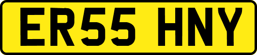 ER55HNY