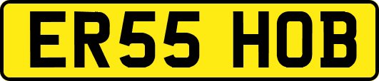 ER55HOB