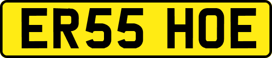 ER55HOE