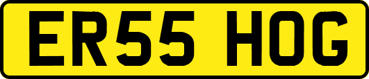 ER55HOG
