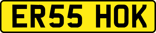 ER55HOK