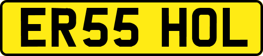 ER55HOL