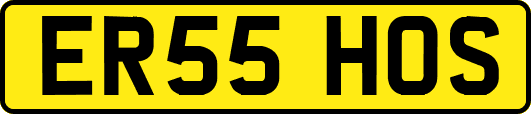 ER55HOS