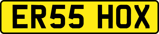 ER55HOX