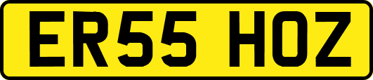 ER55HOZ