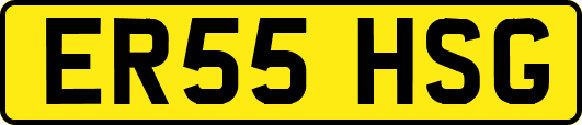 ER55HSG