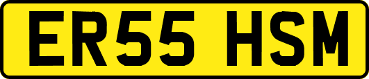 ER55HSM