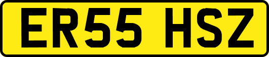 ER55HSZ