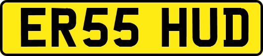 ER55HUD