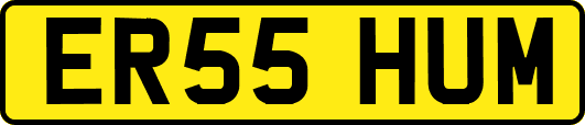 ER55HUM