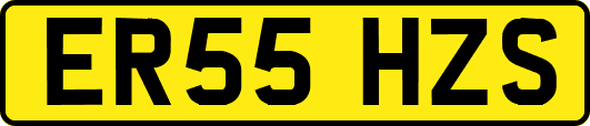 ER55HZS