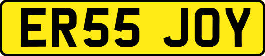 ER55JOY