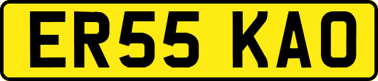 ER55KAO